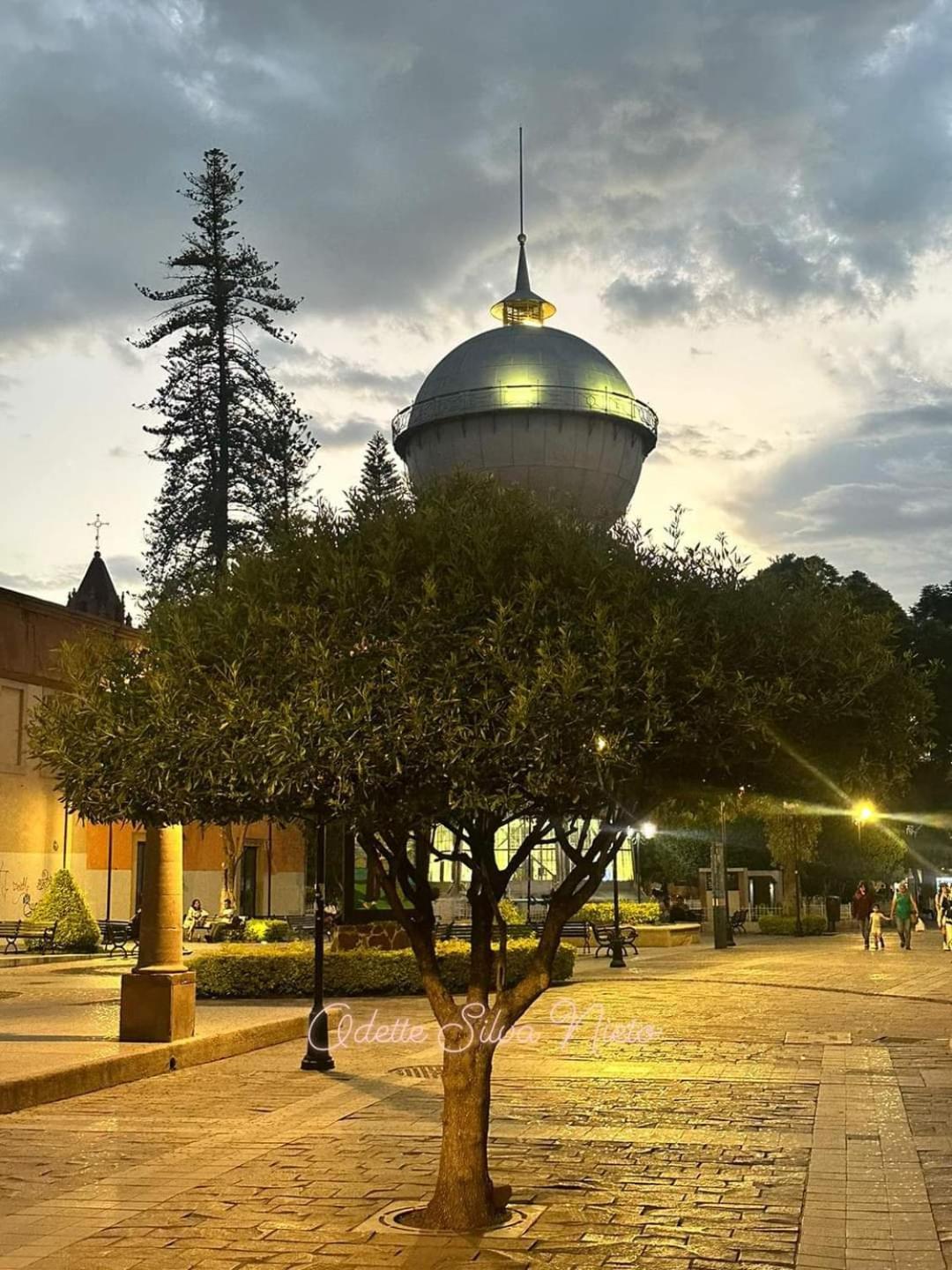 Hotel Gomez De Celaya Celaya  Extérieur photo